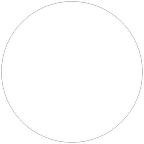 Template Blank