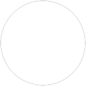 Template Blank