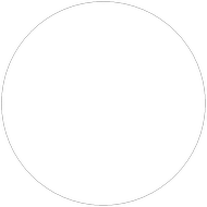 Template Blank