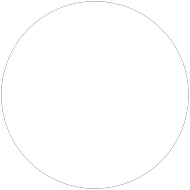 Template Blank